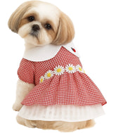 KUTKUT School Style Collar Dress for Small Dogs| Floral Lace Checkered Print Plaid Skirt for Small Dogs and Cats Shish Tzu, Pug, Poodle